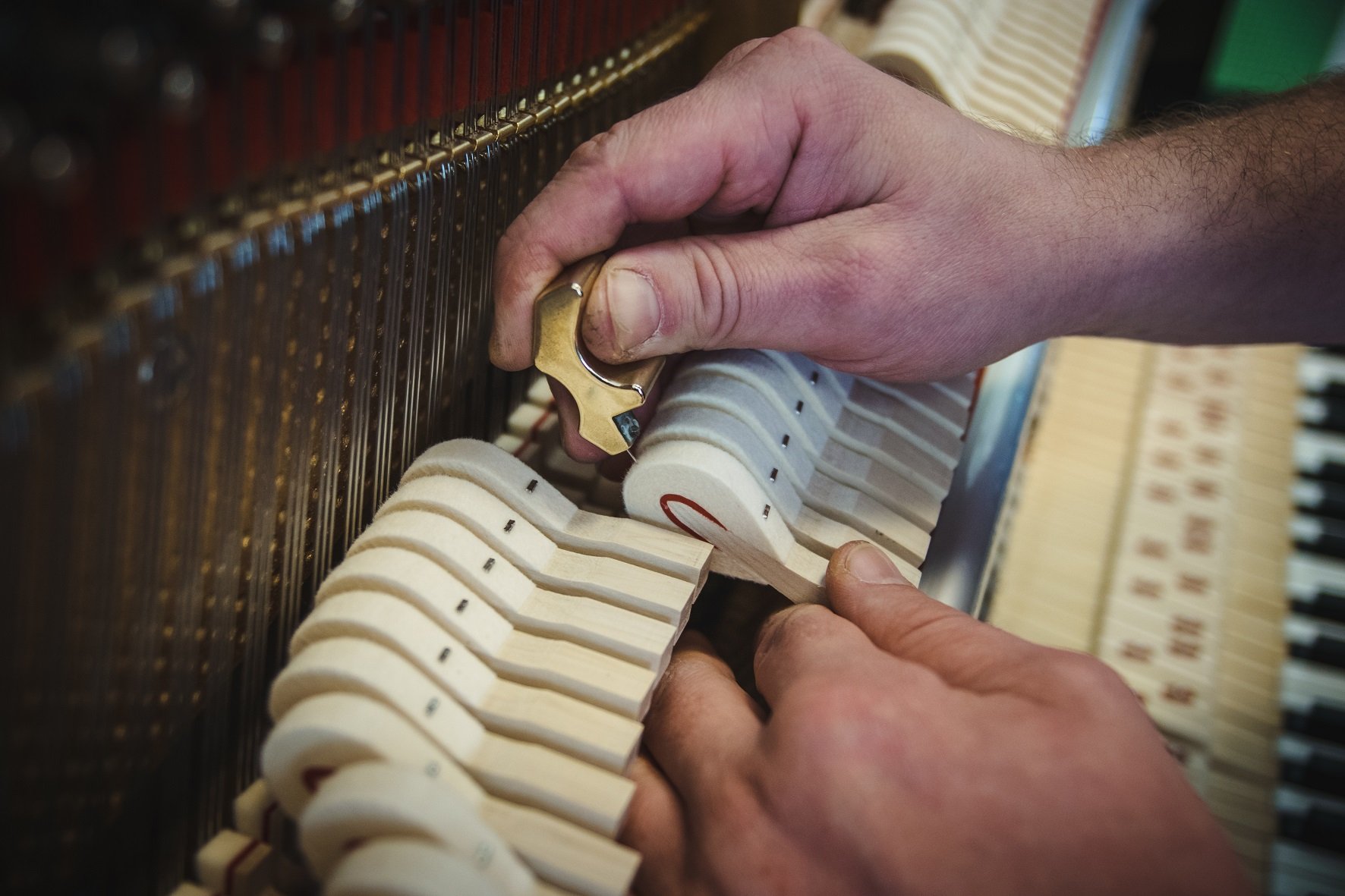Tuning, voicing and action regulation
