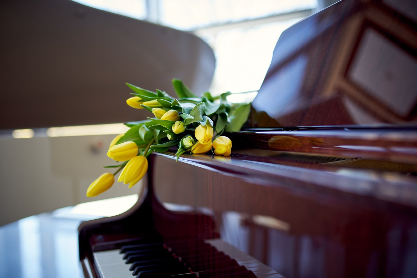 Piano care